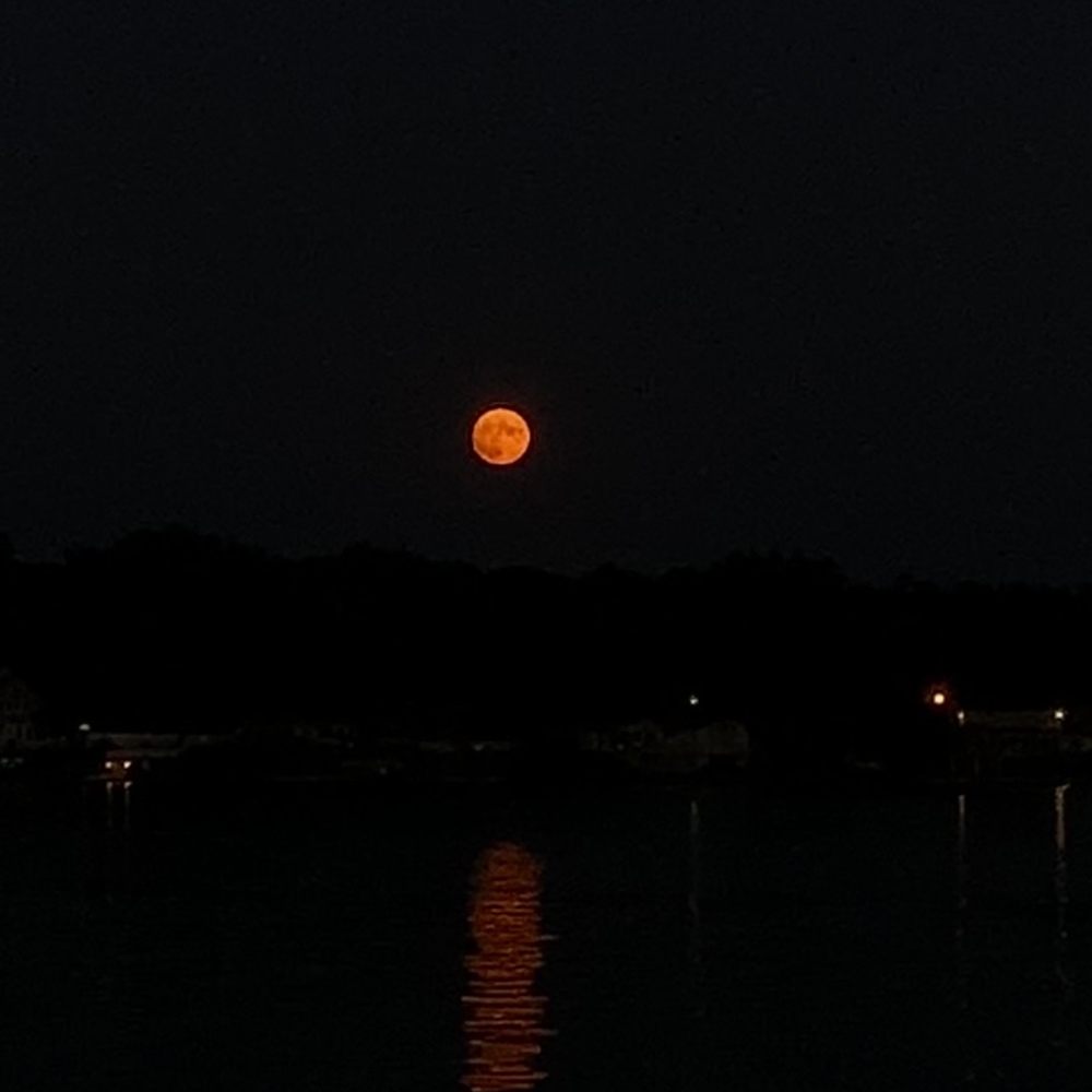 Meet your Posher, Triple